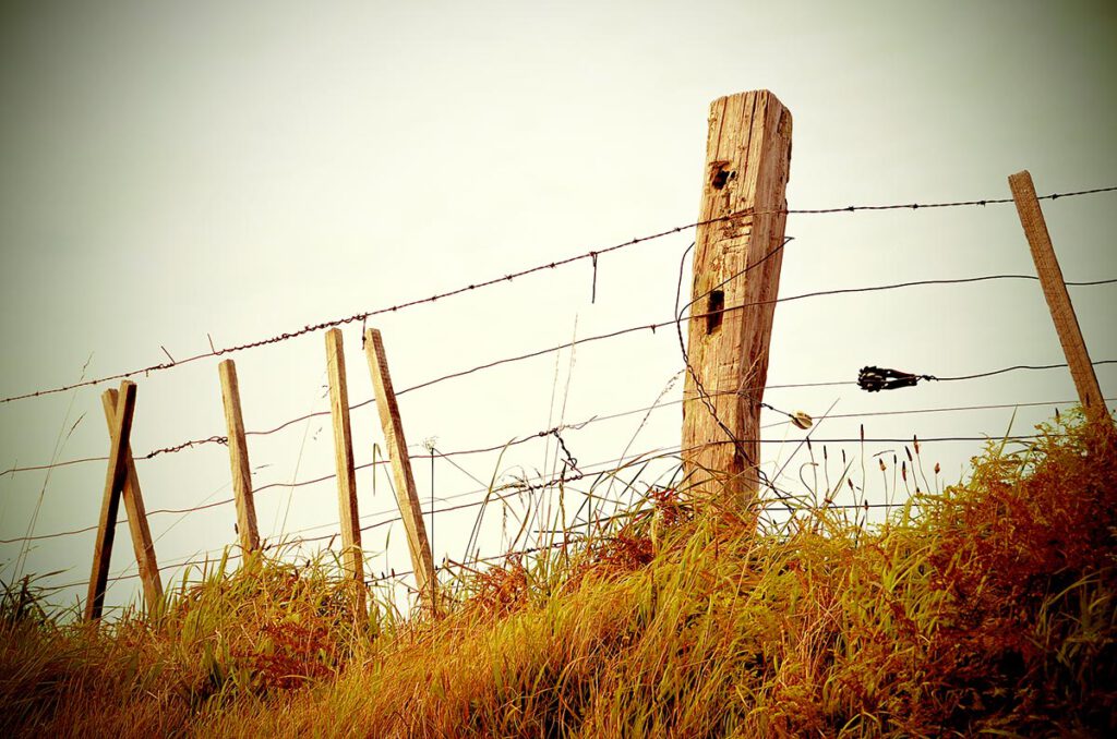 Fence Filtered 1024x678